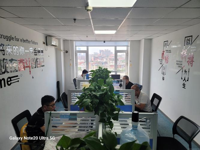 市場(chǎng)調(diào)查;經(jīng)濟(jì)信息咨詢(xún);接受金融機(jī)構(gòu)委托從事金融信息技術(shù)外包服